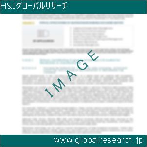 グローバルリサーチ調査レポートのイメージ